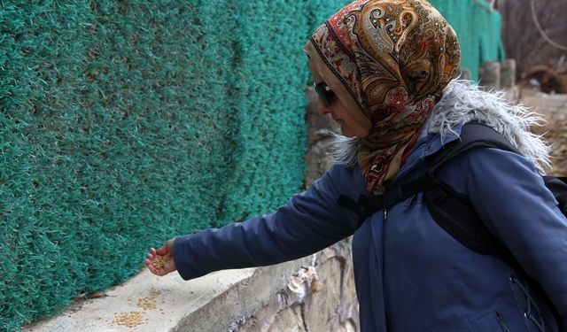 Malatya'da yaban hayvanları için doğaya yem bırakıldı