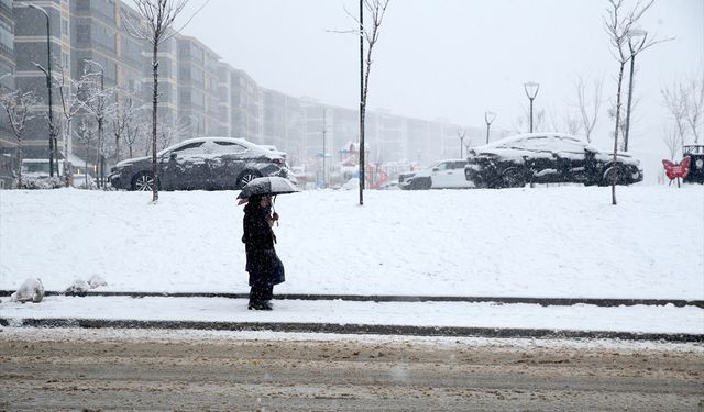 Muş'ta kar ulaşımı aksattı