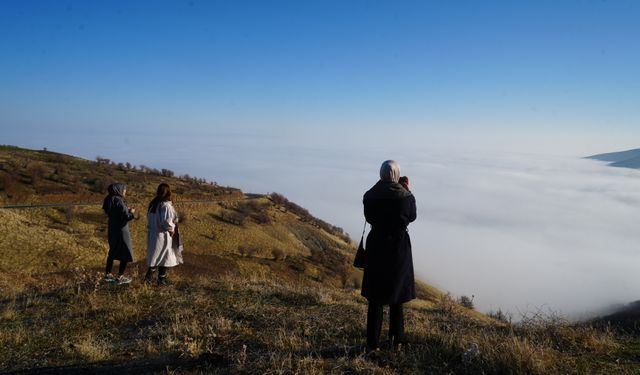 Muş'ta sis etkili oldu