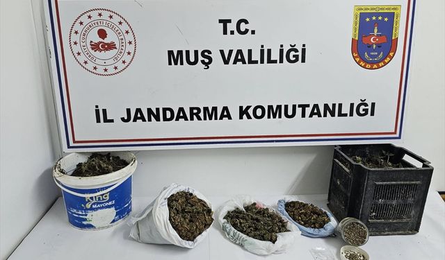 Muş'ta uyuşturucu operasyonunda 1 şüpheli gözaltına alındı