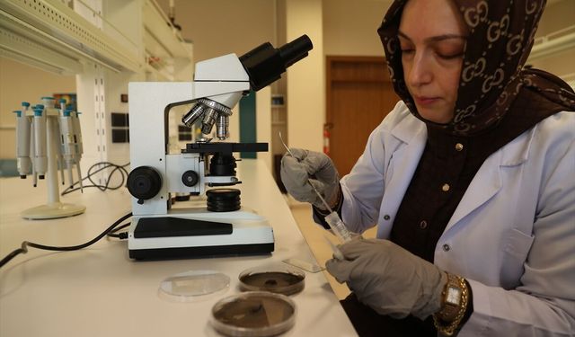 Organik içerikli solüsyon, tarımsal ürünlerin kalitesini artırıp raf ömrünü uzatıyor