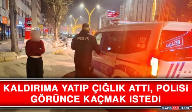 Kaldırıma Yatıp Çığlık Attı, Polisi Görünce Kaçmak İstedi