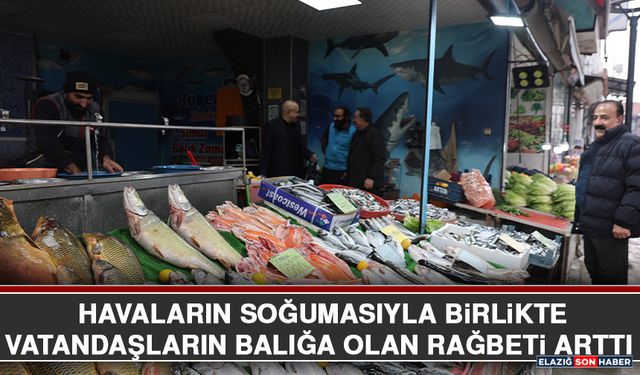 Havaların Soğumasıyla Birlikte Vatandaşların Balığa Olan Rağbeti Arttı
