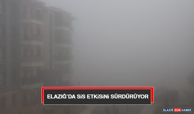 Elazığ’da Sis Etkisini Sürdürüyor