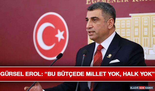 Gürsel Erol: “Bu Bütçede Millet Yok, Halk Yok”