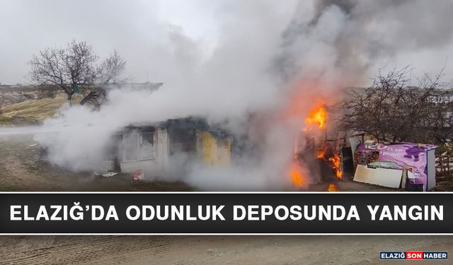 Elazığ’da Odunluk Deposunda Yangın