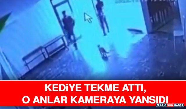 Kediye Tekme Attı, O Anlar Kameraya Yansıdı