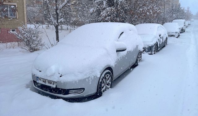 Van, Hakkari, Bitlis ve Muş'ta kar nedeniyle 1493 yerleşim yerinin yolu kapandı