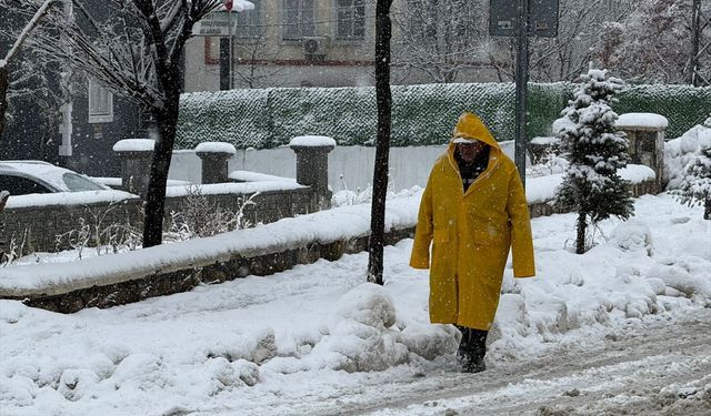 Van ve Bitlis'te kar yağışı etkili oldu
