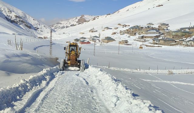 Van'da kapalı yollar ulaşıma açıldı