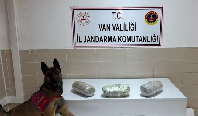 Van'da otomobilde 3 kilogram esrar ele geçirildi