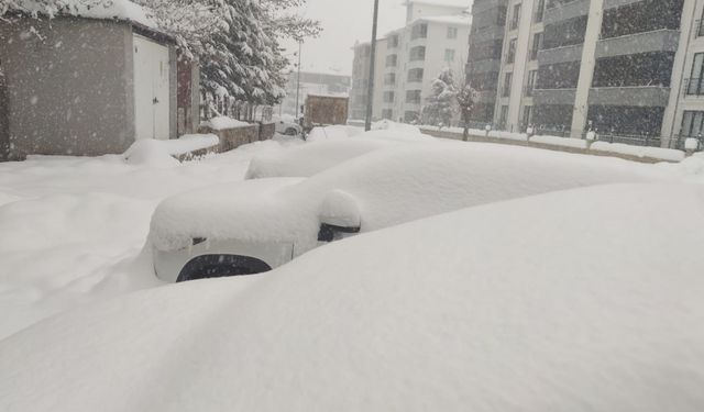 Bingöl'de kar yağışı aralıksız devam ediyor