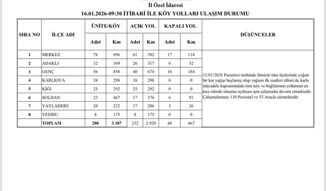 Bingöl'de karla mücadele sürüyor: 232 köy yolu ulaşıma açıldı