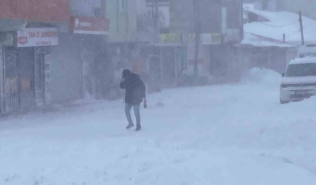 Karlıova'da tipi ve fırtına hayatı felç etti: Esnaf kepenk kapattı