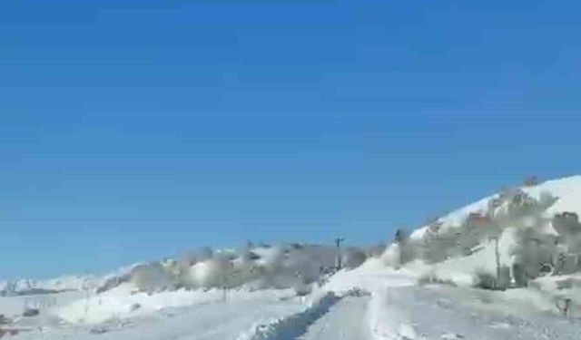 UMKE ekiplerinin hasta yolculuğuna kurt eşlik etti