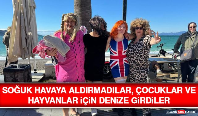 Soğuk Havaya Aldırmadılar, Çocuklar ve Hayvanlar İçin Denize Girdiler