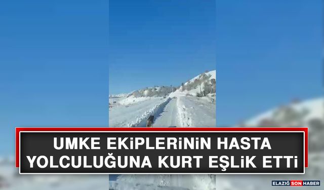 UMKE Ekiplerinin Hasta Yolculuğuna Kurt Eşlik Etti