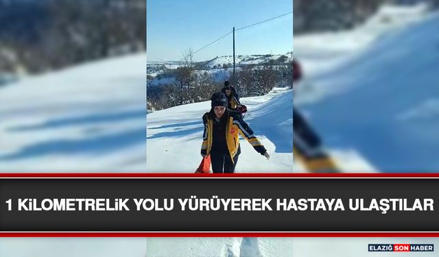 1 Kilometrelik Yolu Yürüyerek Hastaya Ulaştılar