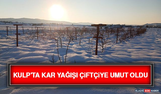 Kulp'ta Kar Yağışı Çiftçiye Umut Oldu