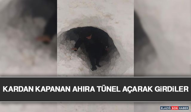 Kardan Kapanan Ahıra Tünel Açarak Girdiler