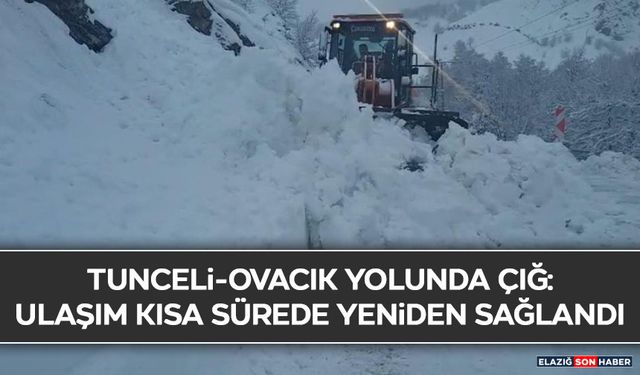 Tunceli-Ovacık Yolunda Çığ: Ulaşım Kısa Sürede Yeniden Sağlandı