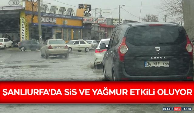 Şanlıurfa'da Sis ve Yağmur Etkili Oluyor