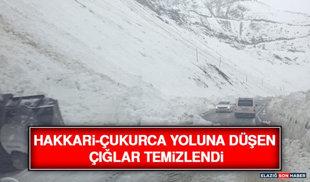 Hakkari-Çukurca Yoluna Düşen Çığlar Temizlendi