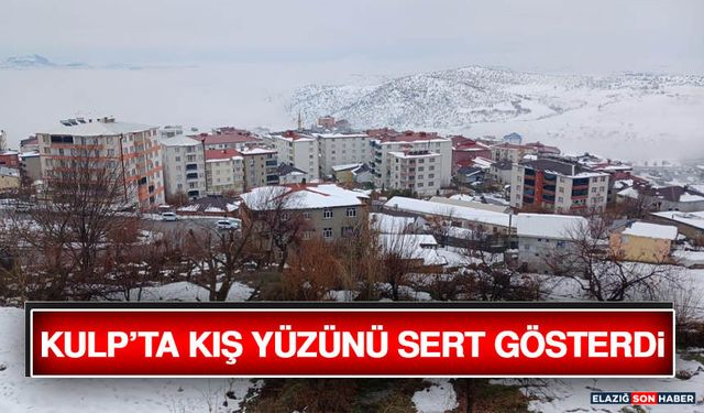 Kulp’ta Kış Yüzünü Sert Gösterdi