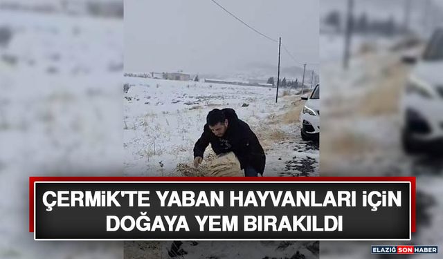 Çermik'te Yaban Hayvanları İçin Doğaya Yem Bırakıldı