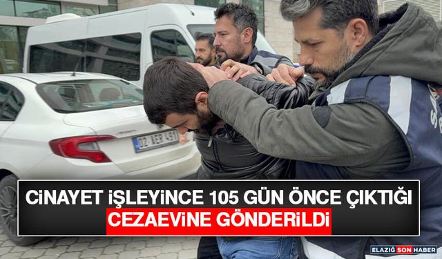 Cinayet İşleyince 105 Gün Önce Çıktığı Cezaevine Gönderildi