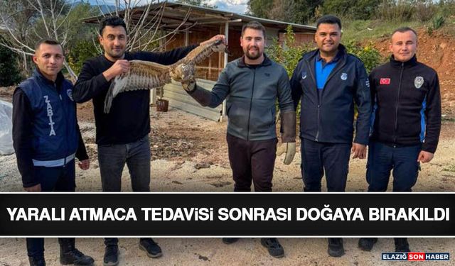 Kumluca'da Yaralı Atmaca Tedavisi Sonrası Doğaya Bırakıldı