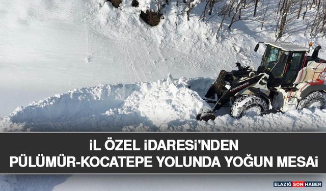 İl Özel İdaresi'nden Pülümür-Kocatepe Yolunda Yoğun Mesai