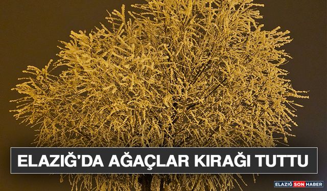 Elazığ'da Ağaçlar Kırağı Tuttu