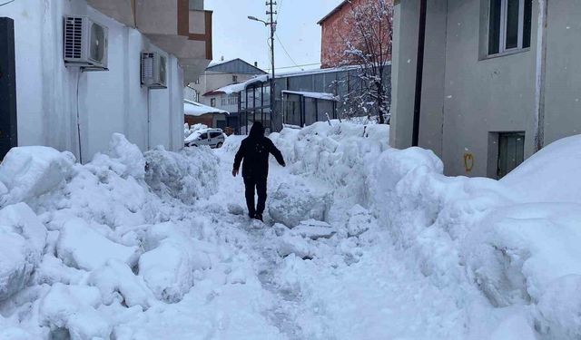 Karlıova'da 40 gündür süren kar yağışı hayatı zorlaştırıyor