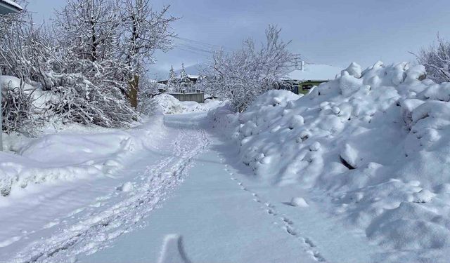 Karlıova'da kar yağışı etkisini sürdürüyor
