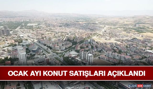 Ocak Ayı Konut Satışları Açıklandı