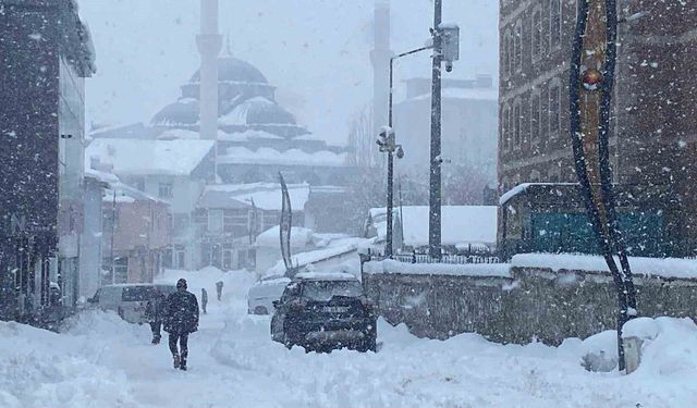 Karlıova'da kar yağışı yeniden etkili oldu