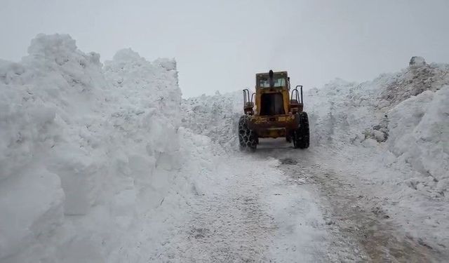 Karlıova'da karla mücadele sürüyor