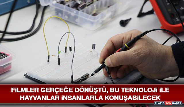 Filmler Gerçeğe Dönüştü, Bu Teknoloji İle Hayvanlar İnsanlarla Konuşabilecek