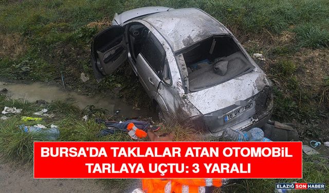 Bursa'da Taklalar Atan Otomobil Tarlaya Uçtu: 3 Yaralı