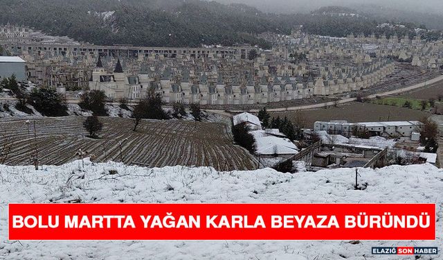Bolu Martta Yağan Karla Beyaza Büründü