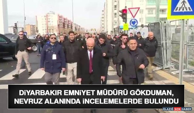 Diyarbakır Emniyet Müdürü Gökduman, Nevruz Alanında İncelemelerde Bulundu