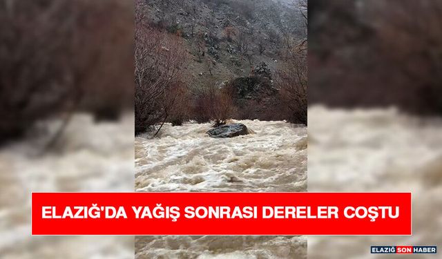 Elazığ'da Yağış Sonrası Dereler Coştu