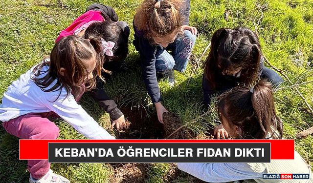 Keban'da Öğrenciler Fidan Dikti