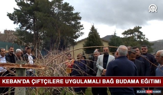 Keban'da Çiftçilere Uygulamalı Bağ Budama Eğitimi