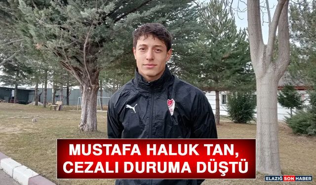 Mustafa Haluk Tan, Cezalı Duruma Düştü