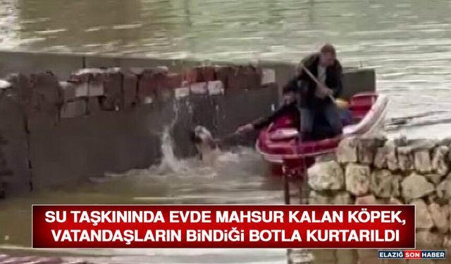 Su Taşkınında Evde Mahsur Kalan Köpek, Vatandaşların Bindiği Botla Kurtarıldı