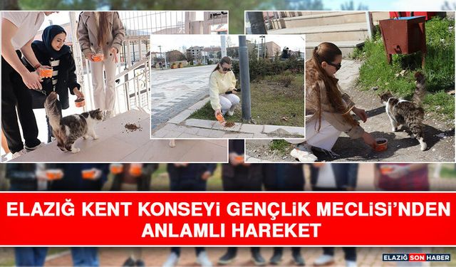 Elazığ Kent Konseyi Gençlik Meclisi’nden Anlamlı Hareket