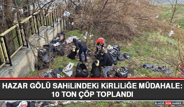 Hazar Gölü Sahilindeki Kirliliğe Müdahale: 10 Ton Çöp Toplandı