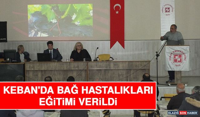 Keban'da Bağ Hastalıkları Eğitimi Verildi